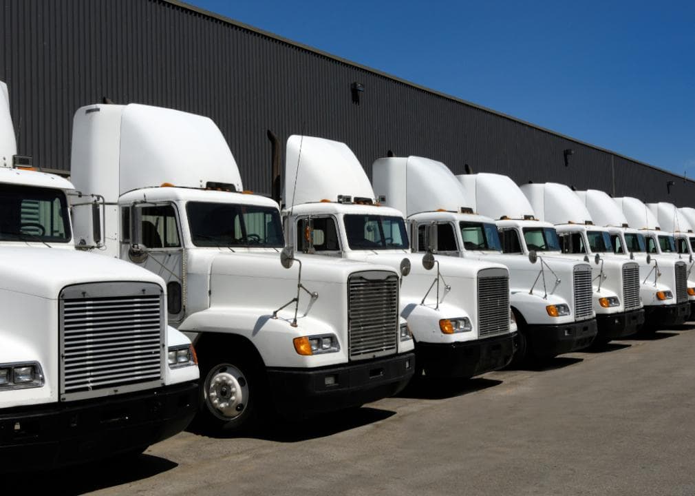 A row of tractor trailers
